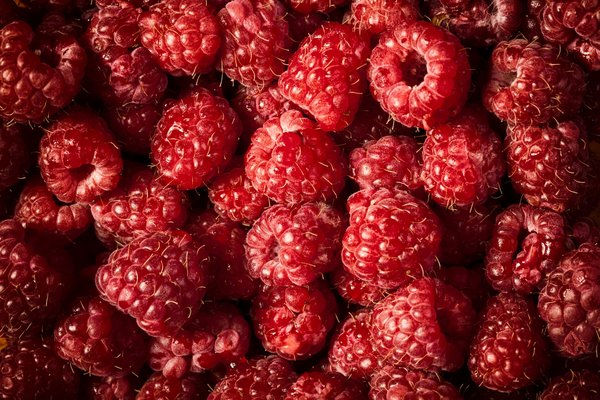 Quels sont les avantages des fenêtres en bois et aluminium mixtes ?