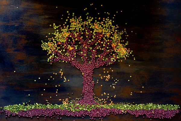 Comment intégrer des plantes vertes dans votre décoration