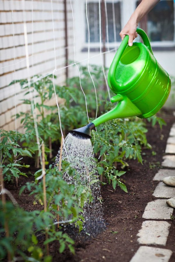 Conseil de jardinage : La permaculture, une méthode durable pour votre jardin ?