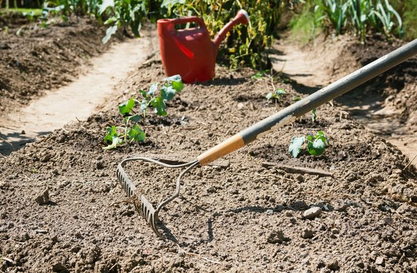 Préservez la qualité de vos sols avec l'olla : Un pot indispensable !