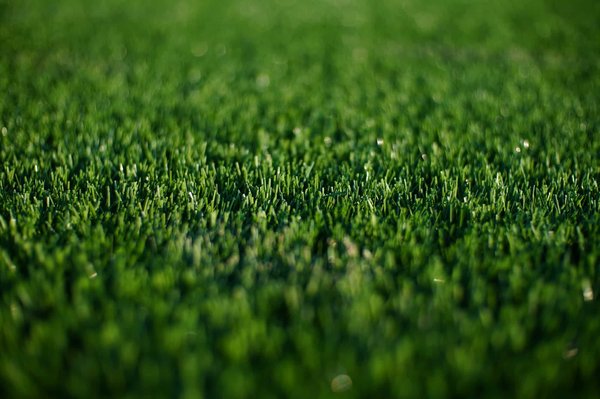 Gazon synthétique : découvrez les options pour votre espace extérieur